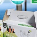제주건강즙