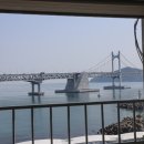 대영횟집 - 보령시 | 대영횟집