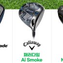 드라이버독 이미지