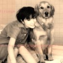 오늘의 강아지 이미지