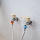 정성드림 이미지