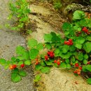 마치1리 경로당 이미지