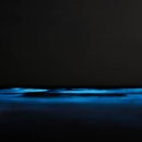 빛나는 바다 이미지