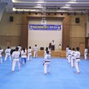 성황태권도장 한국강사신문