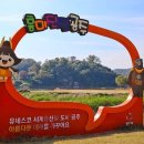 플라워디자인(야간) 이미지