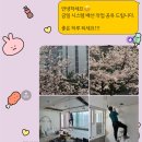 엠엔씨디자인 이미지
