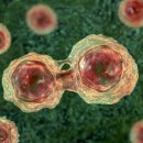 미라셀주식회사 이미지