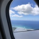 피자헤븐 테이스트(PHTI) | Hawaii 1