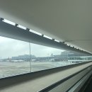 만마 | 도쿄 여행 (가와구치코 후지산, 갓파바시시장, 진다이지) 🍣🍺