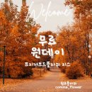 쉼표플라워 Daum카페
