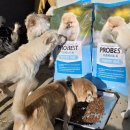 우리와 주식회사 이미지