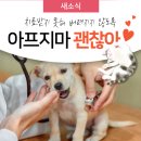 성남 시립동물병원 이미지