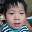 진성목장 이미지