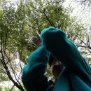 진안마이산(장수) 이미지