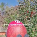 이현농장 이미지