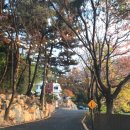 호포주유소 | 금곡 카페 <트레몬토710>