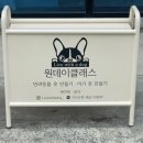 리윗독 이미지