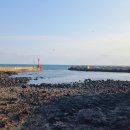 신양리입구 이미지