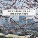 친환경스카이웨이 전망대 | 부산 벚꽃 명소 친환경스카이웨이전망대 산복도로 드라이브 코스