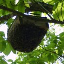 용연농장 이미지