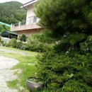 늘푸른펜션민박 이미지