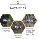 캣라운지 이미지
