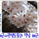 “진해군항제 벚꽃축제 기차여행” 이미지