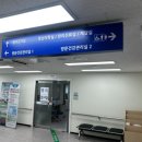 지정19 | 신혼부부 임신 준비 A to Z | 산전검사·정부지원·임신 초기 6주 기록