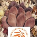 아현재한의원 이미지