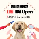 정샘 동물병원 이미지