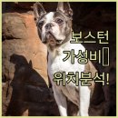 보스턴 피트니스 | 보스턴 가성비 숙소 추천 및 위치별 특징 비교 분석과 실제 투숙 후기