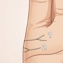 두 Y자(주말) 이미지