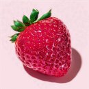 연세365감동치과의원 | 치과에서 보는 이갈이 원인과 예방 방법 총정리:)