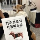 오엔동물병원 | 강아지 디스크 후지마비 웰시코기 펫츠오엔피 척추보조기 맞춤후기