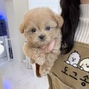 대홍약국 이미지