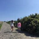 춘심이네 식당 이미지