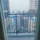 메르시제이