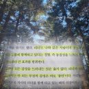 적정한 삶 책 | 김경일 책 후기 | 불안해서 미치겠다는 고독한 고백의 의미 추천 리뷰 핵심 요약