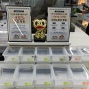 대덕대로233번길 | 대전 파충류샵 낭게코 대전 둔산점 방문후기 | 크레스티드게코 사육 꿀팁