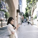 호이테안경 이미지