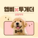 삼월약국 이미지