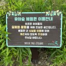 영산강대상근린공원 | 광주 유아숲체험원 모래놀이 야외놀이터 영산강 대상 근린공원