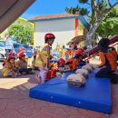 조천초등학교 이미지