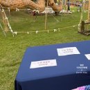 밀양스포츠센타 | <경남 축제 "밀양 국가유산 야행"> 축제일정 주차정보 어화꽃불놀이 낙화축제 불꽃놀이 체험