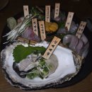 별컵맥주전주 | 내돈내산 전주 웨리단길 맛집 '바다고기', 분위기 좋은 곳에서 즐기는 인생 숙성사시미 후기
