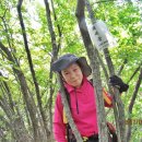 쇄재터널 이미지