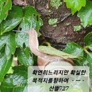 분동농장1 이미지