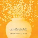 명동보리밥 이미지