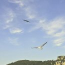 해금강낙원 | 잊지 못할 추억, 거제 해금강과 외도를 품은 특별한 여행