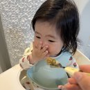 엘리프렌치 | 유아식 콩나물 레시피, 밥태기에도 잘 먹은 푸드케어 클레 한우콩나물비빔밥 후기